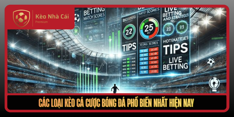Kèo Nhà Cái - tỷ lệ kèo nhà cái 5, Xem Bóng Đá Trực Tiếp Uy Tín 2026 3 Cac Loai Keo Ca Cuoc Bong Da Pho Bien Nhat Hien Nay1